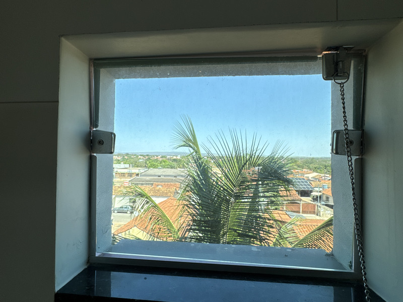 Janela com vista para a palmeira
